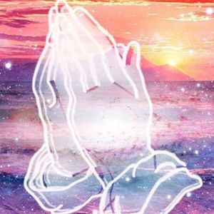 Meet your Posher, Sandy